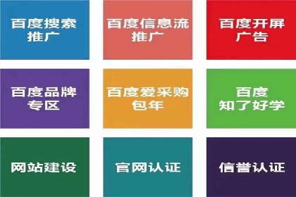 百度搜索引擎优化推广：成功案例揭秘